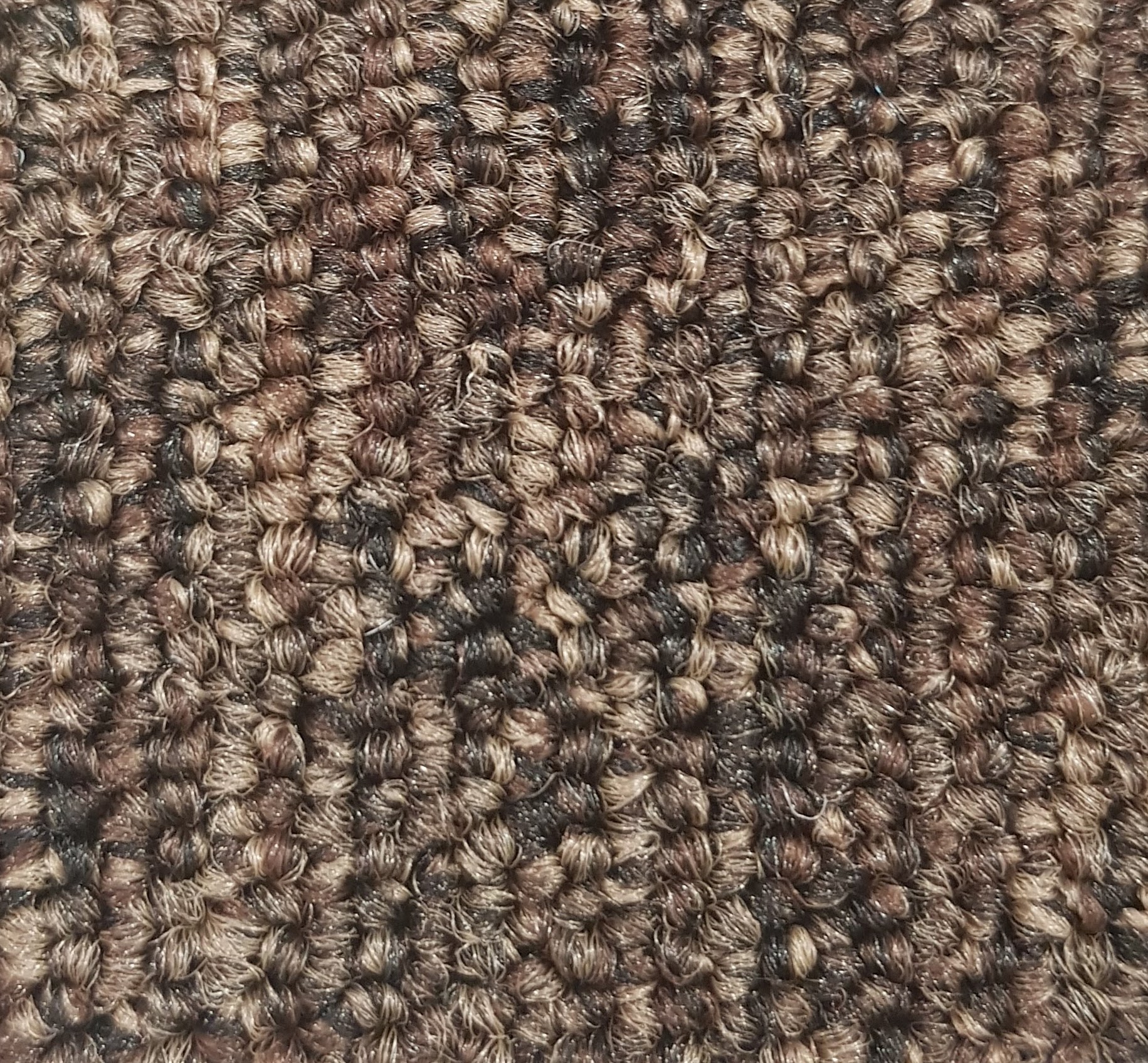 JHS Triumph Loop Carpet Tile Chocolate
