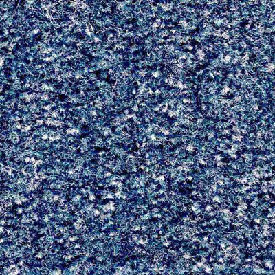 JHS Triumph Cut Pile Carpet Tile Blue