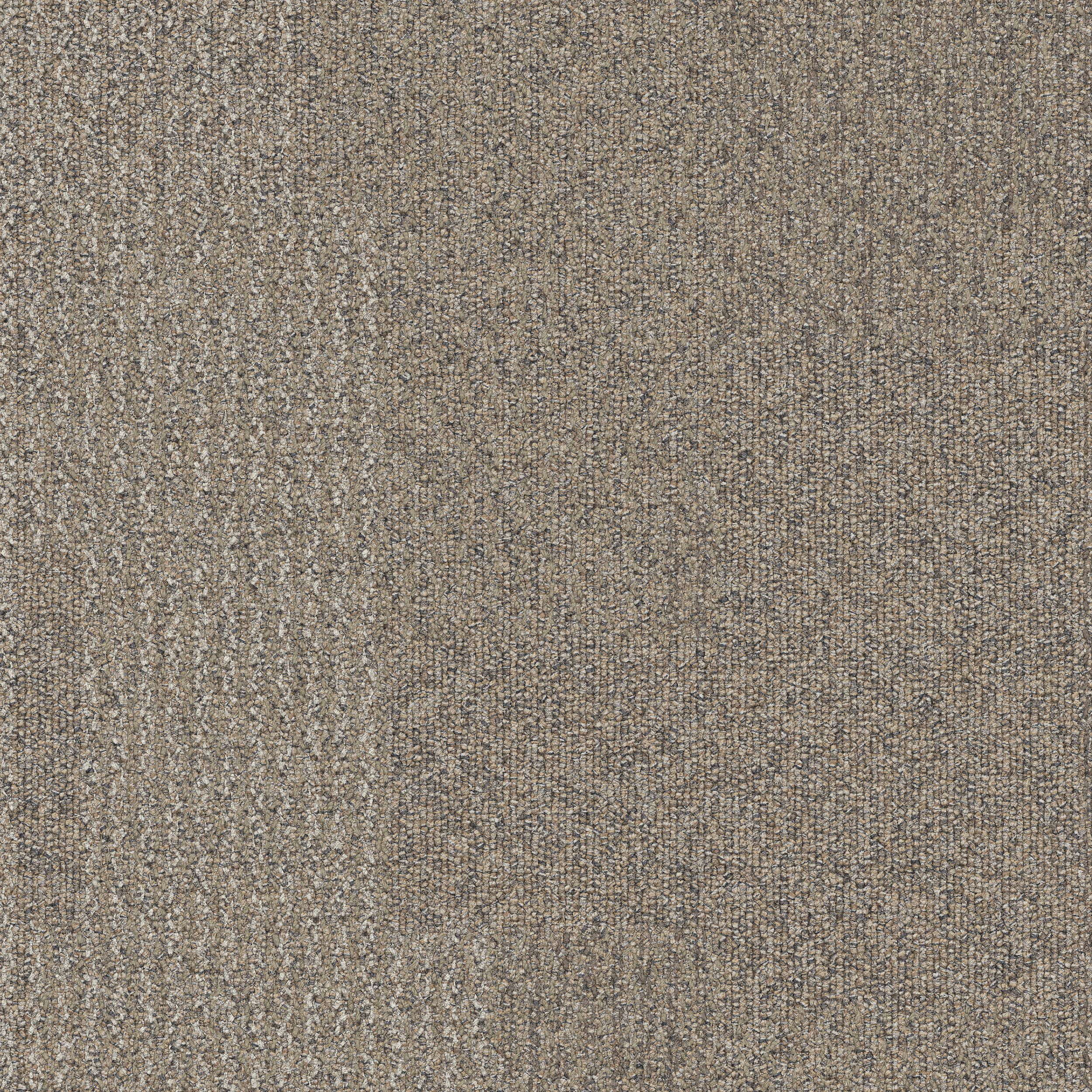 Transformation Carpet Tile Wadi variation.